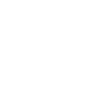 Step 3: Schnelle Räumung & Abtransport